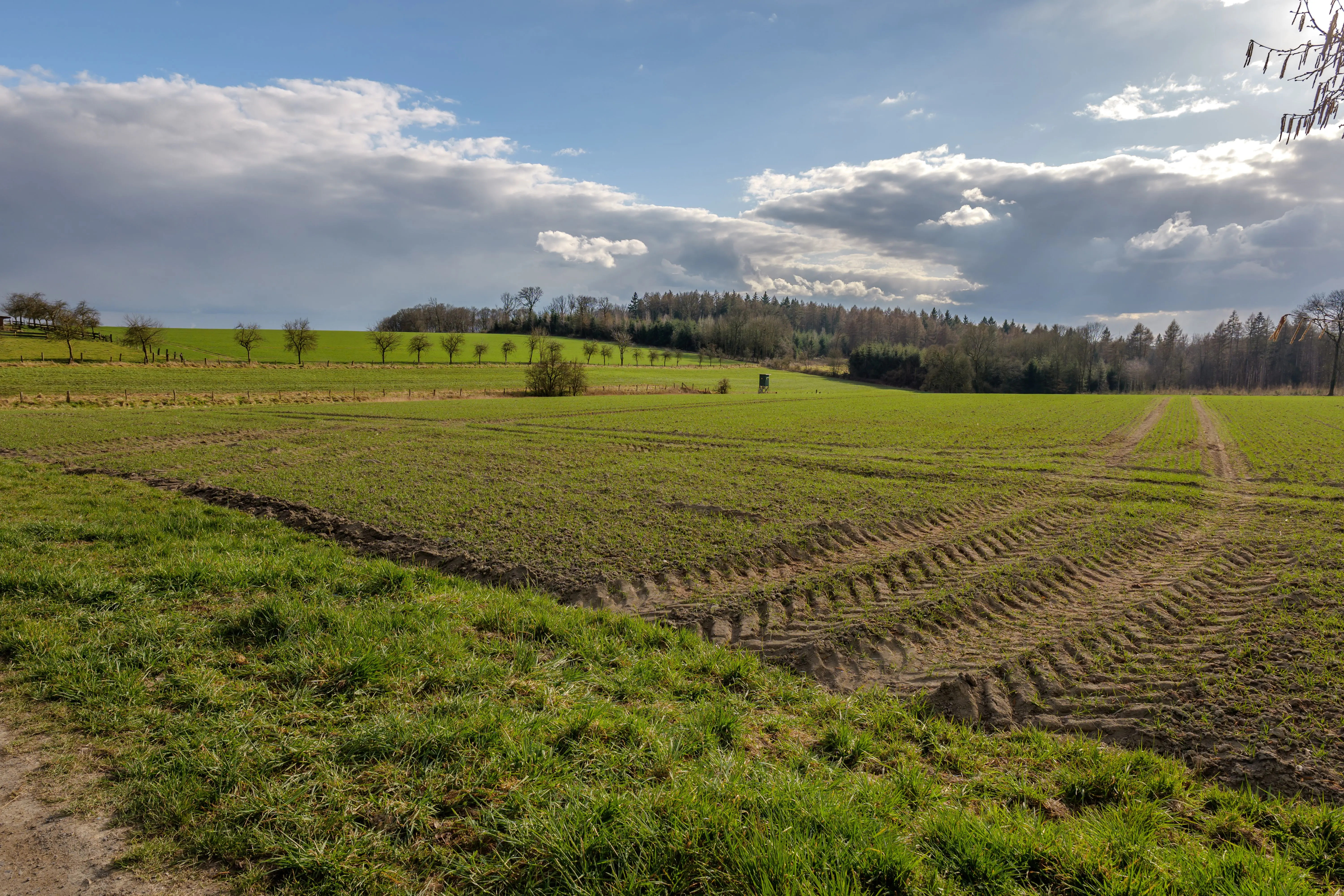 Branded Plotted Land
