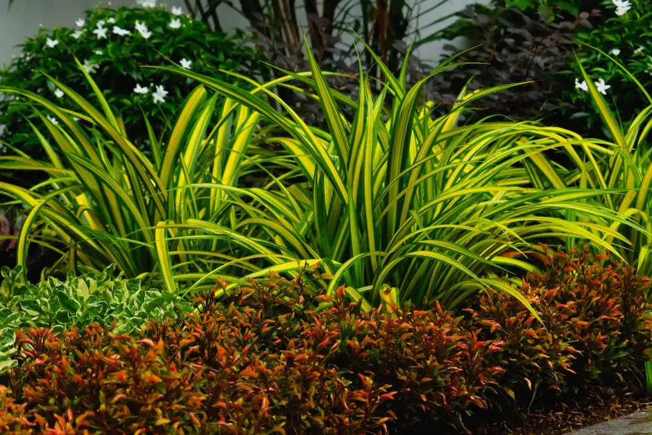 Greens & Outdoors at HOABL NEWPROJECT UJJAIN - HOUSE OF ABHINANDAN LODHA, Mahakaleshwar area, Ujjain