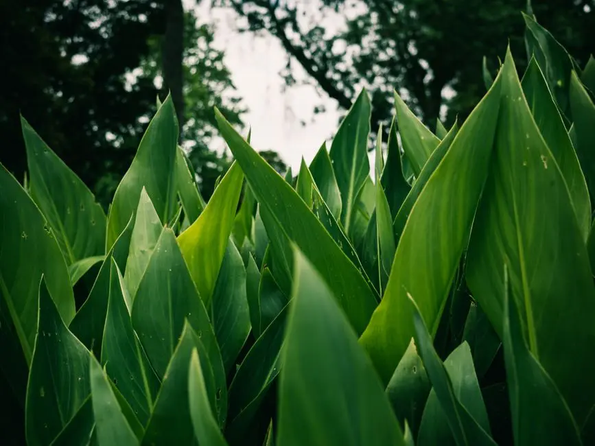 Greens & Outdoors at HOABL PLOTS DIGHI, Pune