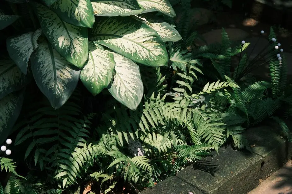 Greens & Outdoors at HOABL RESIDENTIAL PROJECT – KHARGHAR, Navi Mumbai