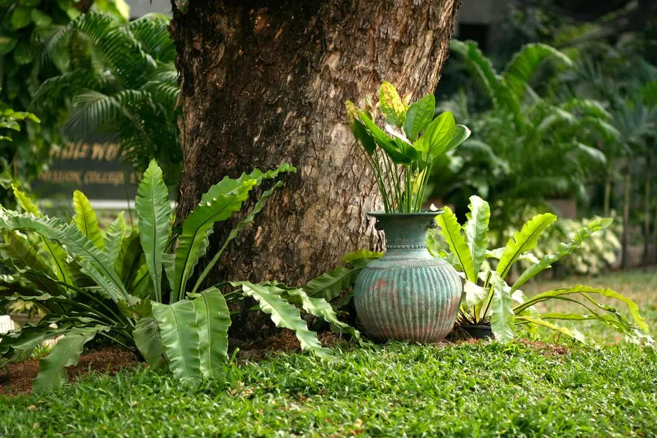 Greens & Outdoors at HOABL SOVEREIGN BAY VILLAS (GULF OF GOA ESTATE VILLAS), Sancoale, Goa