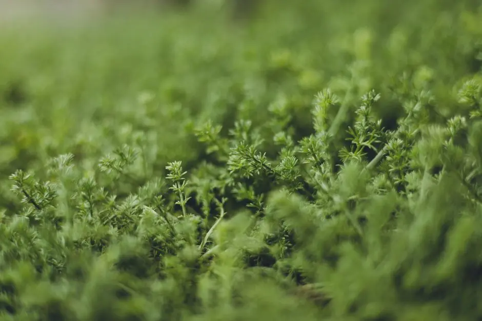Greens & Outdoors at HOABL PLOTS RISHIKESH, Rishikesh, Uttarakhand, Rishikesh