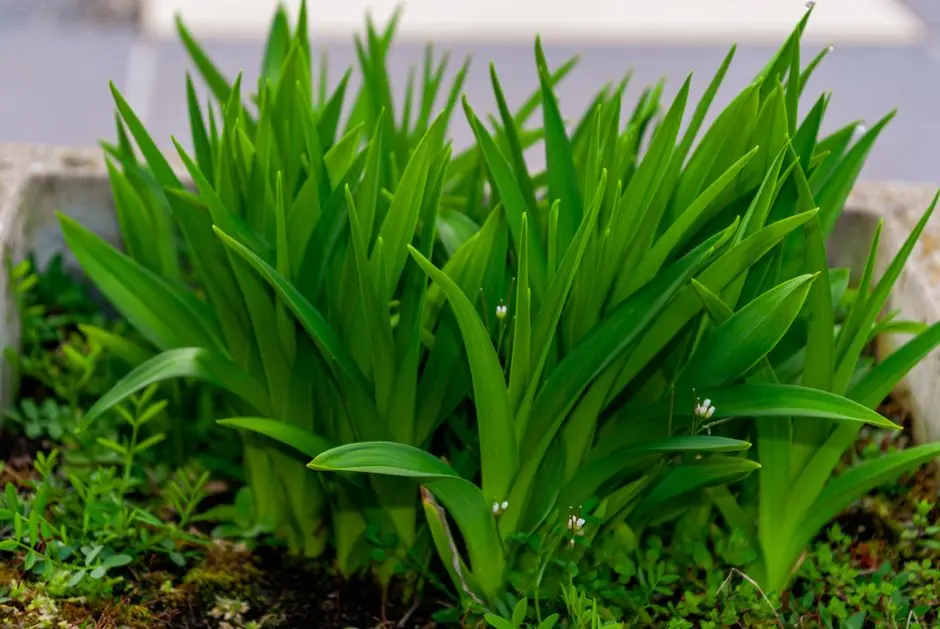 Greens & Outdoors at HOABL PLOTS MATHURA, Vrindavan, Mathura