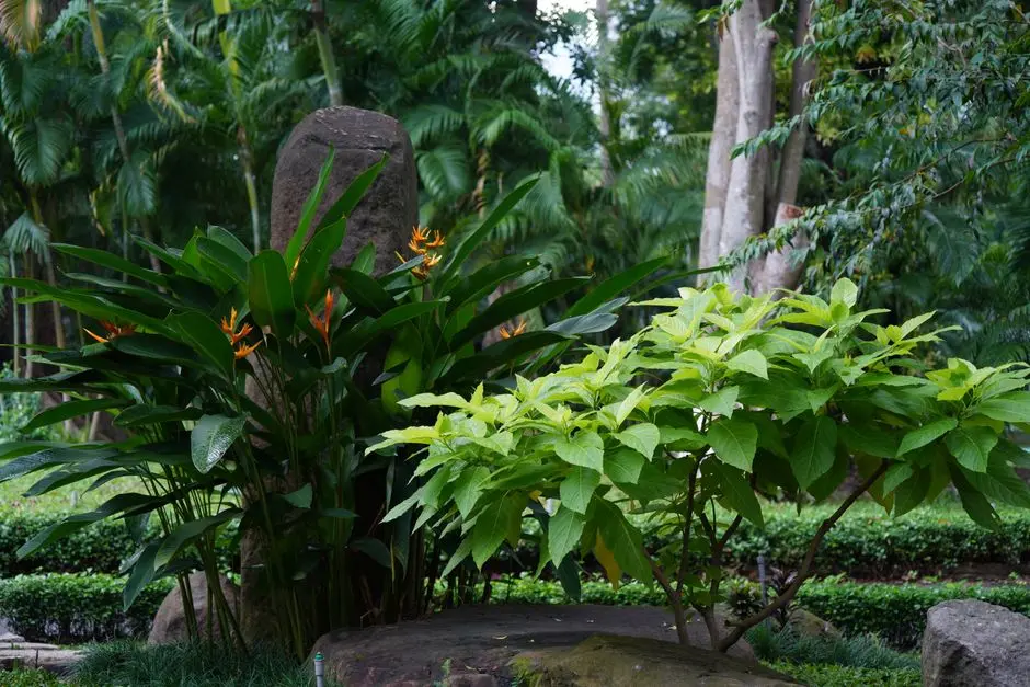 Greens & Outdoors at HOABL BORIVALI VERTICAL RESIDENTIAL, Borivali East, Mumbai